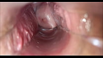 orgasmo vaginal